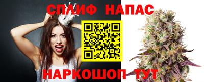бошки Дубна