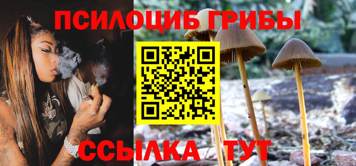 Галлюциногенные грибы прущие грибы Ливны