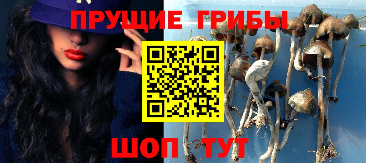 Ливны  Галлюциногенные грибы мицелий  как найти   Вход с VPN 