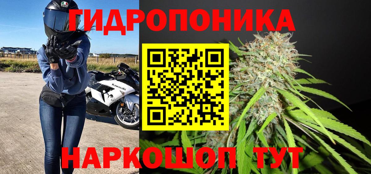 Ливны  Конопля планчик  Вход с VPN  Бошки Шишки VHQ 